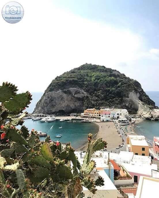 Villa Paradiso Sant'Angelo  Dış mekan fotoğraf
