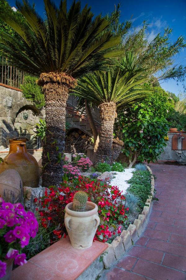 Villa Paradiso Sant'Angelo  Dış mekan fotoğraf